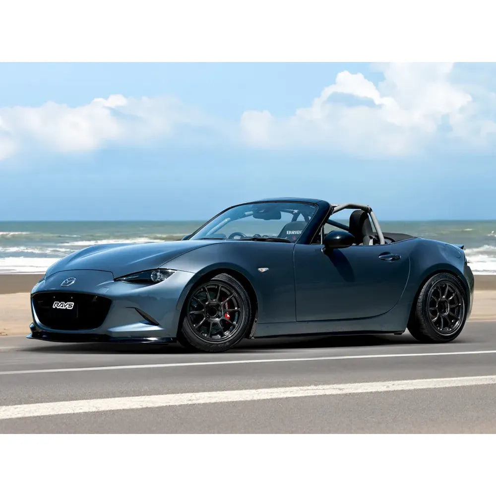 RAYS Volk Racing ZE40 M-Spec - 19"