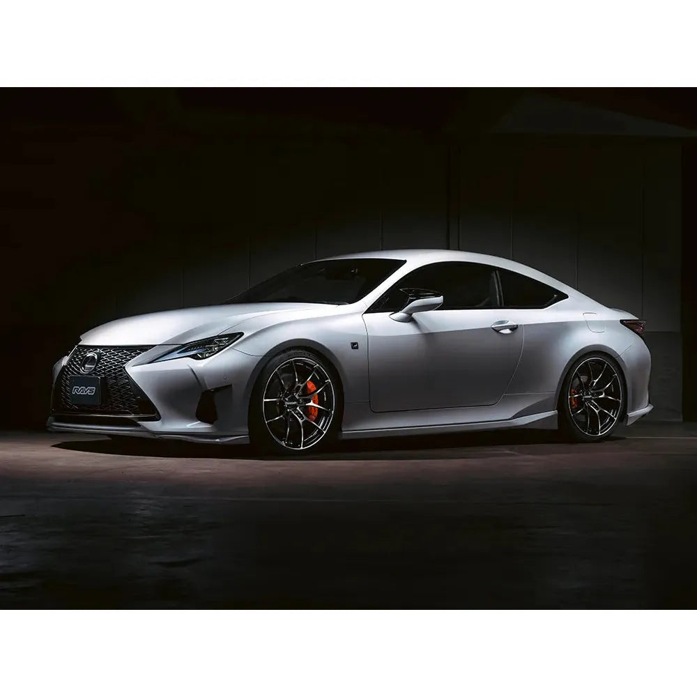 RAYS Volk Racing G025 LTD - 19"