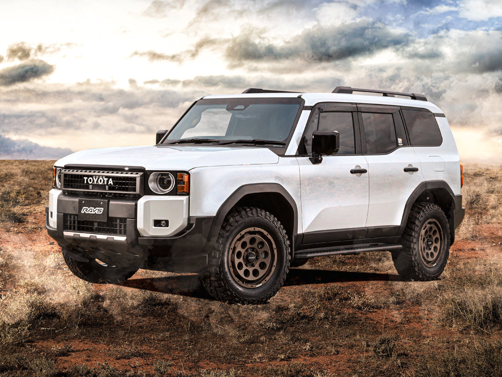 Rays Off-Road Wheels D9 - 18"
